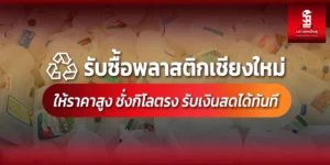 Read more about the article รับซื้อพลาสติกเชียงใหม่ ให้ราคาสูง ชั่งกิโลตรง รับเงินสดได้ทันที