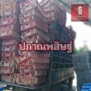 รับซื้อพลาสติกเชียงใหม่ ให้ราคาสูง